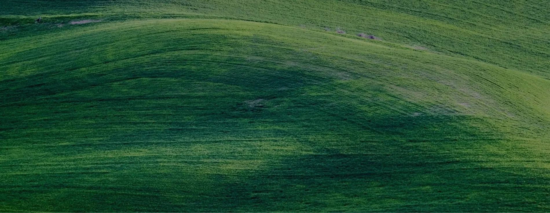 Responsabilitate socială desktop 3