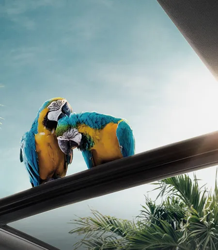 tiggo 7 grid image panoramic roof | Chery Romania